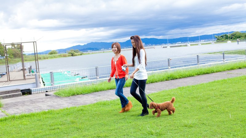 (7)朝食後には琵琶湖岸でお散歩もおすすめです。 